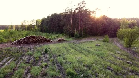 0206.30 Stock Footage 196226219