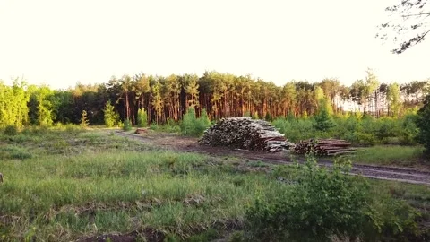 0206.31 Stock Footage 196226190