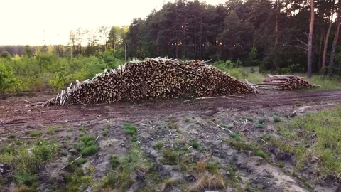 0206.32 Stock Footage 196226146