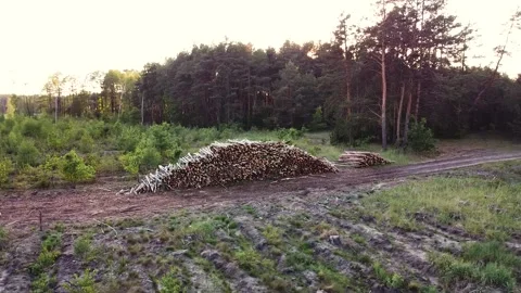 0206.33 Stock Footage 196226318