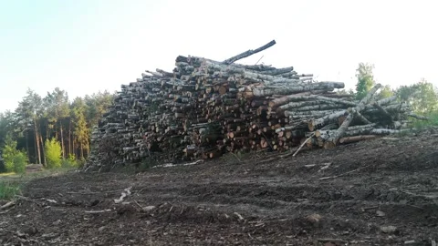 0206.34 Stock Footage 196226256