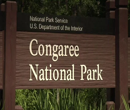 0210WW 動画素材 697213