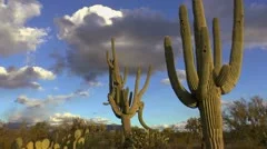 Desert Light Arizona Time Lapse