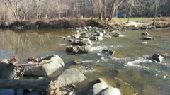 HD Stock Video Footage of Rock Creek Park Nature Hike & River Stream With Rocks