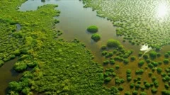 Aerial view Everglades  Wetlands, Florida
