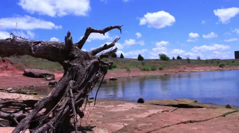 022 Moving into Nature Stock Footage 32285990