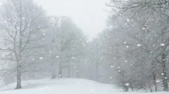 Ethereal winter landscape with falling snow