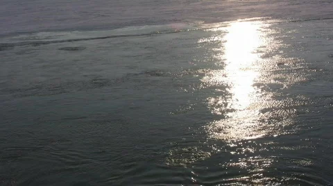 0226201009 Stock Footage 653949