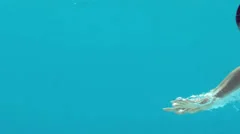 Brunette woman swimming underwater