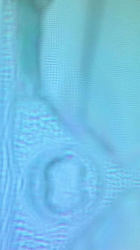 023_Microscopic view of plant cells.mp4 Stock Footage 344965866