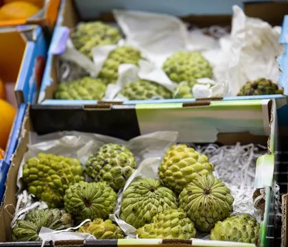 023A2913 스톡 사진