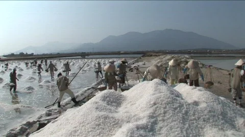 024-39 Stock Footage 589506