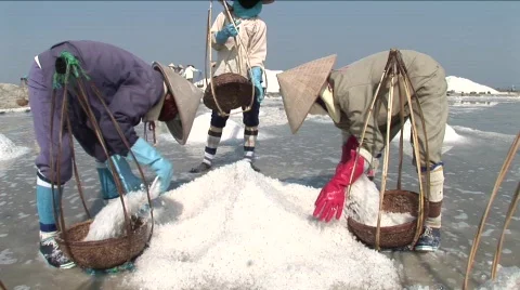 024-42 Stock Footage 589504