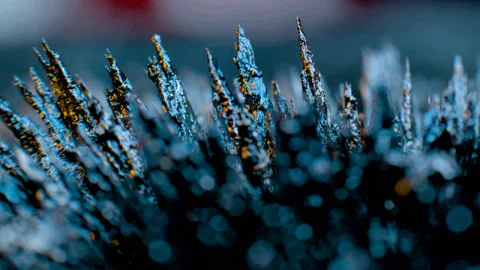 024 Trace The Iron Stock Footage 199234131