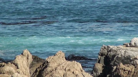 0244 Rocks on the beach Stock Footage 36731994