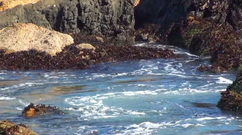0245 Rocks on the beach Video stock 36733559