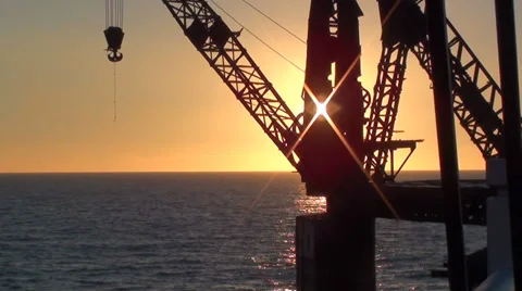 0246 Crane at the seashore Stock Footage 35574081