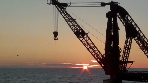 0247 Crane at the seashore Stock Footage 35574395