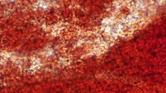 Blood Torrent Cells Passage