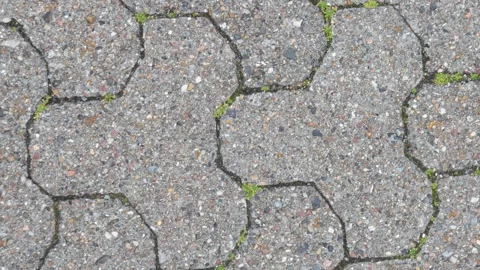 024_Interlocking concrete pavement with small plants.mp4 Stock Footage 345657025