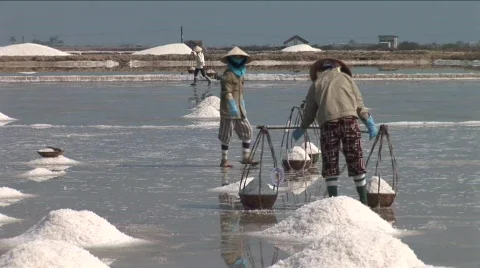 025-13 Stock Footage 589512