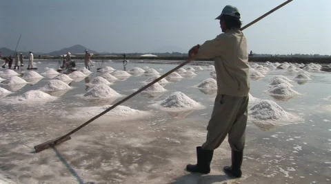 025-14 Stock Footage 467958