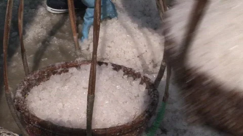 025-22 1 Stock Footage 589513