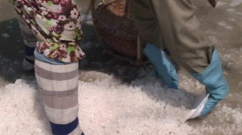 025-22 2 Stock Footage 589519