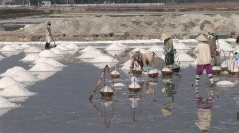 025-7 Stock Footage 467963