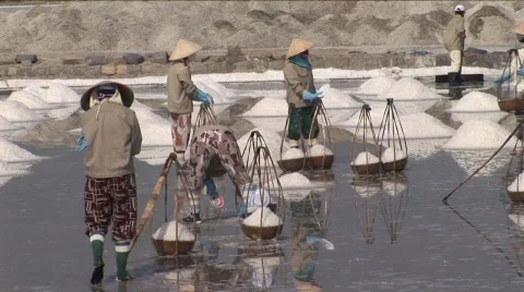 025-8 Stock Footage 589508