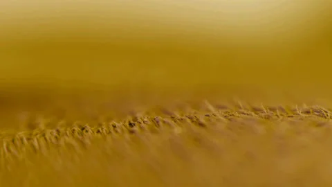 025 Hidden Iron Stock Footage 199234135