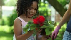 Biracial Mixed Girl Helps Planting Flowers Backyard Garden Gardening