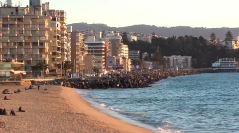 0258 Beaches of Viña del Mar Stock Footage 36720144