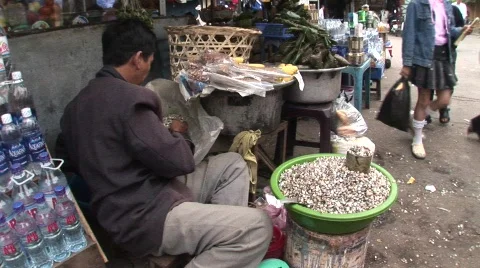 026-49 Stock Footage 475122