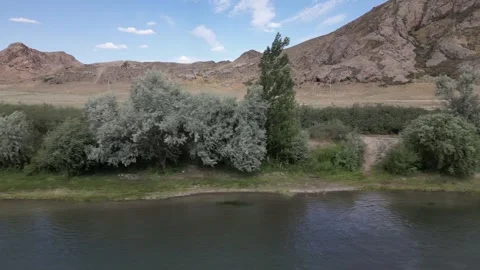 026 库存影片 246014981