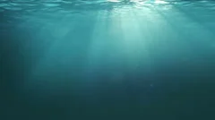 Underwater Scene with Sun rays shining through the water's surface.