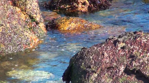 0265 Rocks on the beach Video stock 36720040