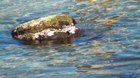 0266 Rocks in the seashore Stock Footage 35505240