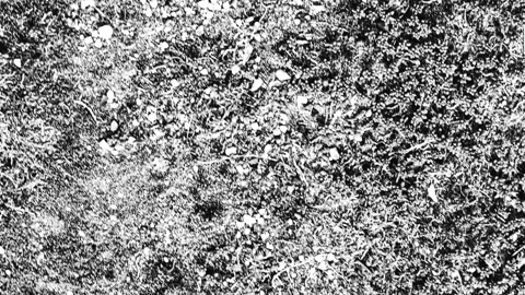 026_Rough ground texture pattern.mp4 Stock Footage 345657045