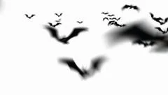 Halloween Swarm of Bats Flying towards Camera (WITH ALPHA)