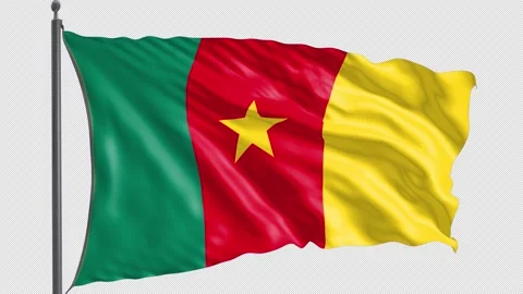 028 Flag of Cameroon with Alpha channel 3D Rendering 028 Stock Footage 159203578