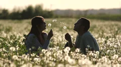 Young parents play in dandelion flourish field, baby come to parents at sunset