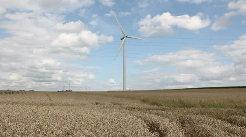 0297 Wind mill on a wheat field Stock Footage 35998570