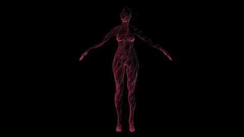 02woman lines Stock Footage 343873062