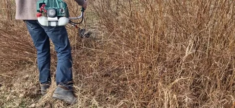 03-22-2025 - Czech republic - work in the garden using a motorized brush cutter Stock Footage 304782918
