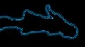 03- Vertical HD sexy dancer silhouette - cyan neon on black HD Footage