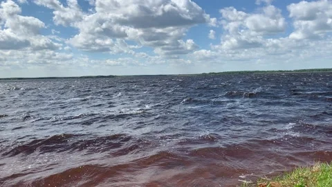 03 waves on the lake (3 of 3 clips in the collection) Stock Footage 170612554