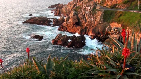 0300 Seashore landscape Stock Footage 35522856