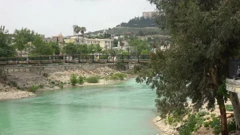0311 walking bridge Video stock 201216899
