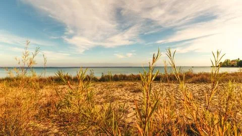#0316 Beach Grass Foto stock